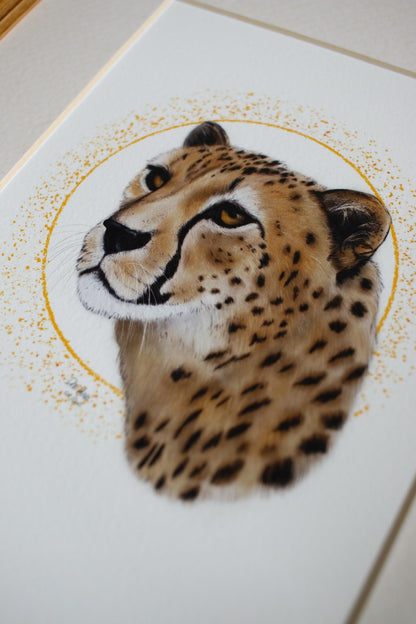 Cheetah