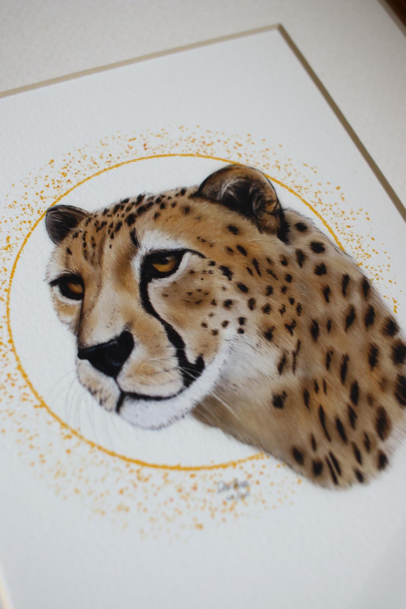 Cheetah
