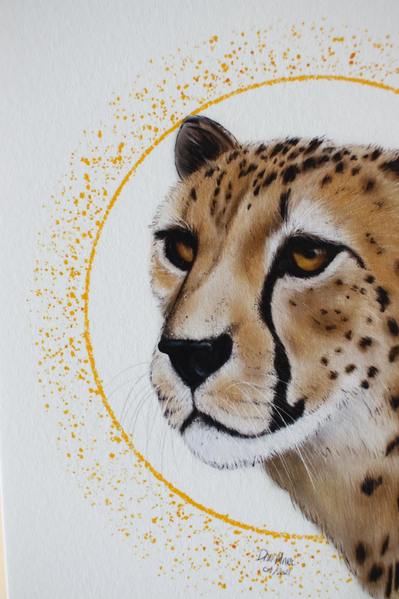 Cheetah