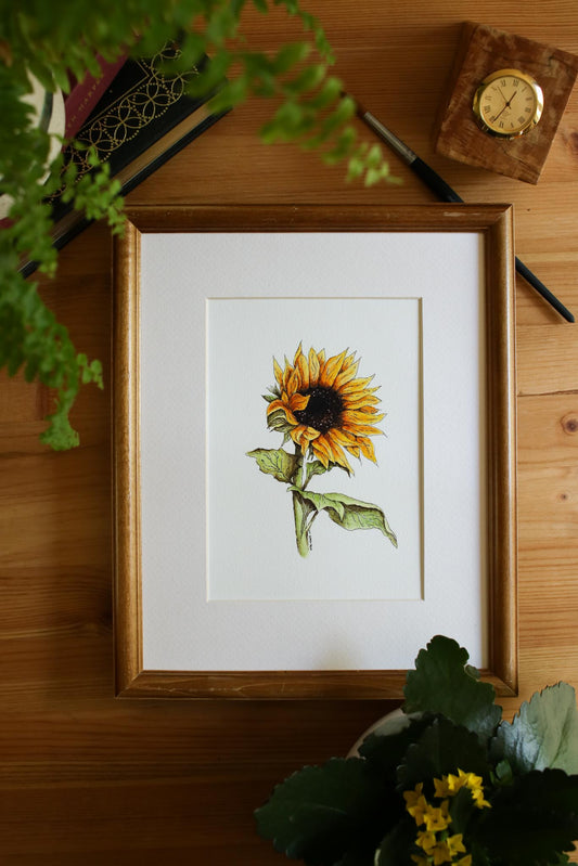Sunflower