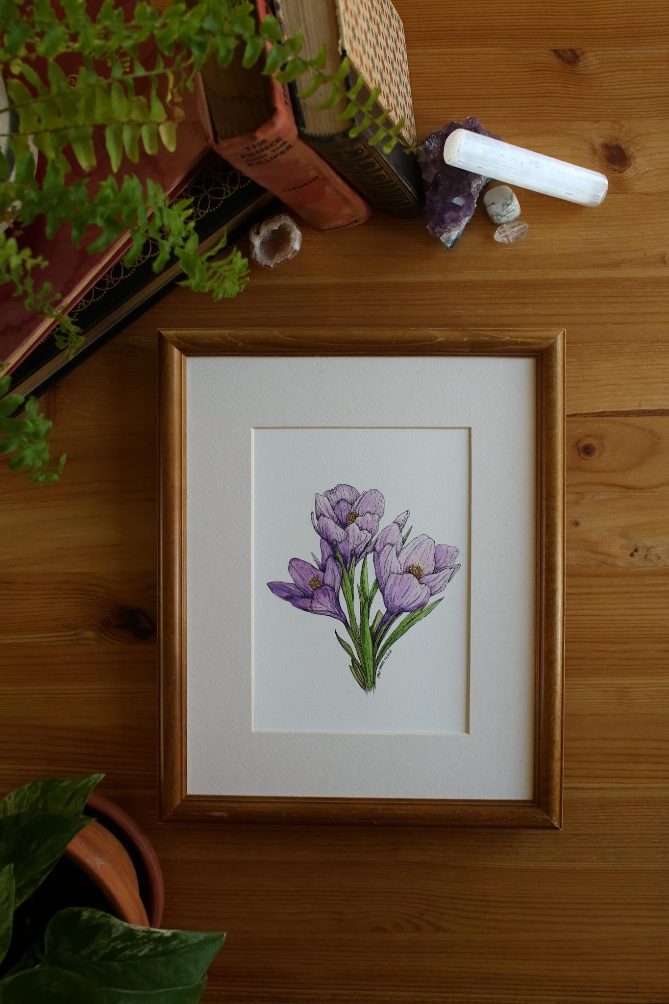 Springtime Crocus