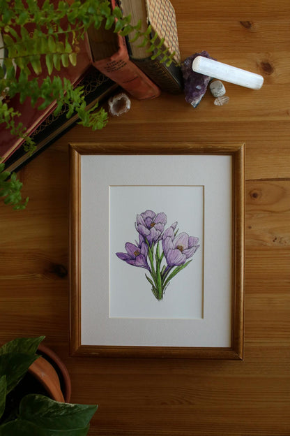 Springtime Crocus
