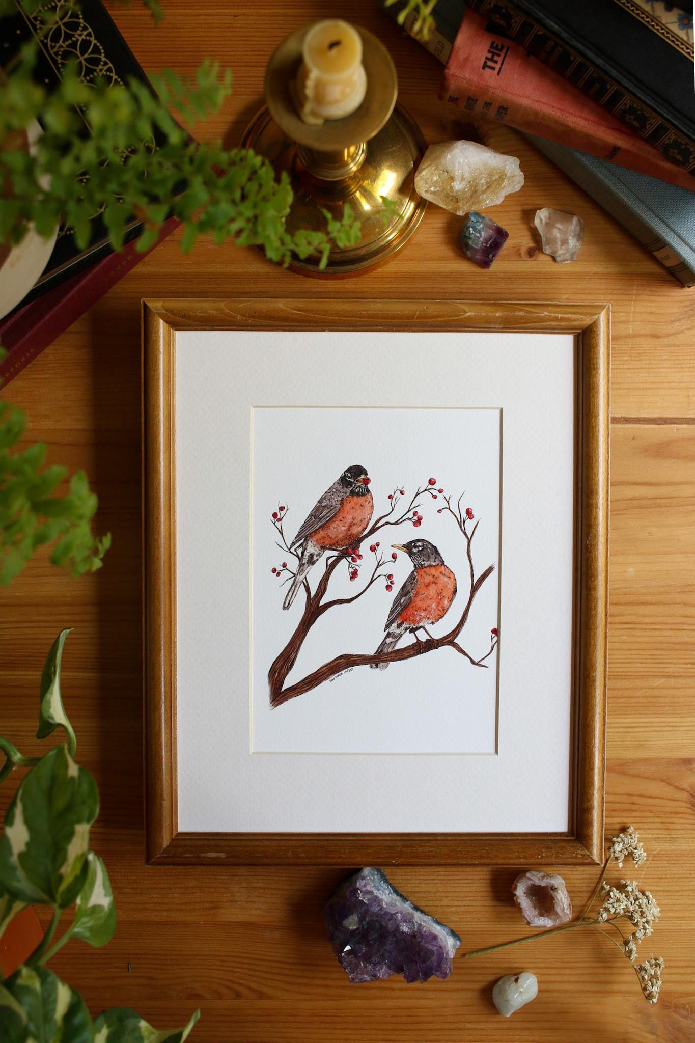 Robins
