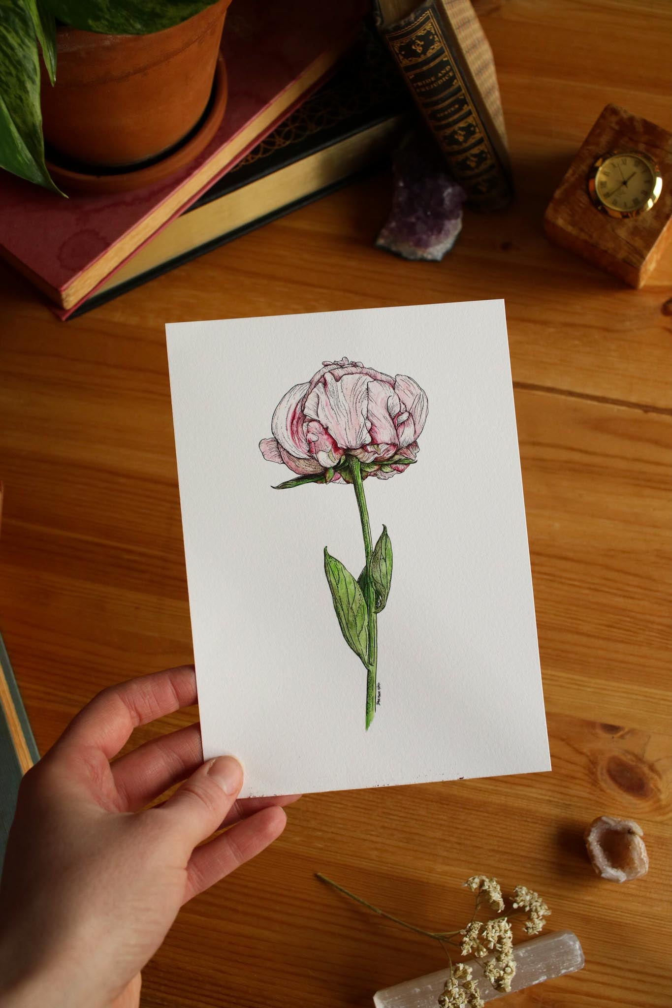 Peony