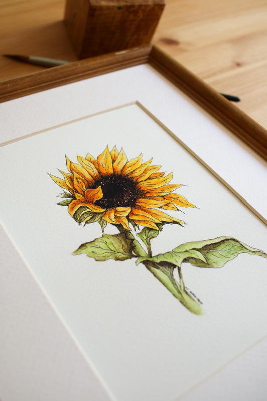 Sunflower