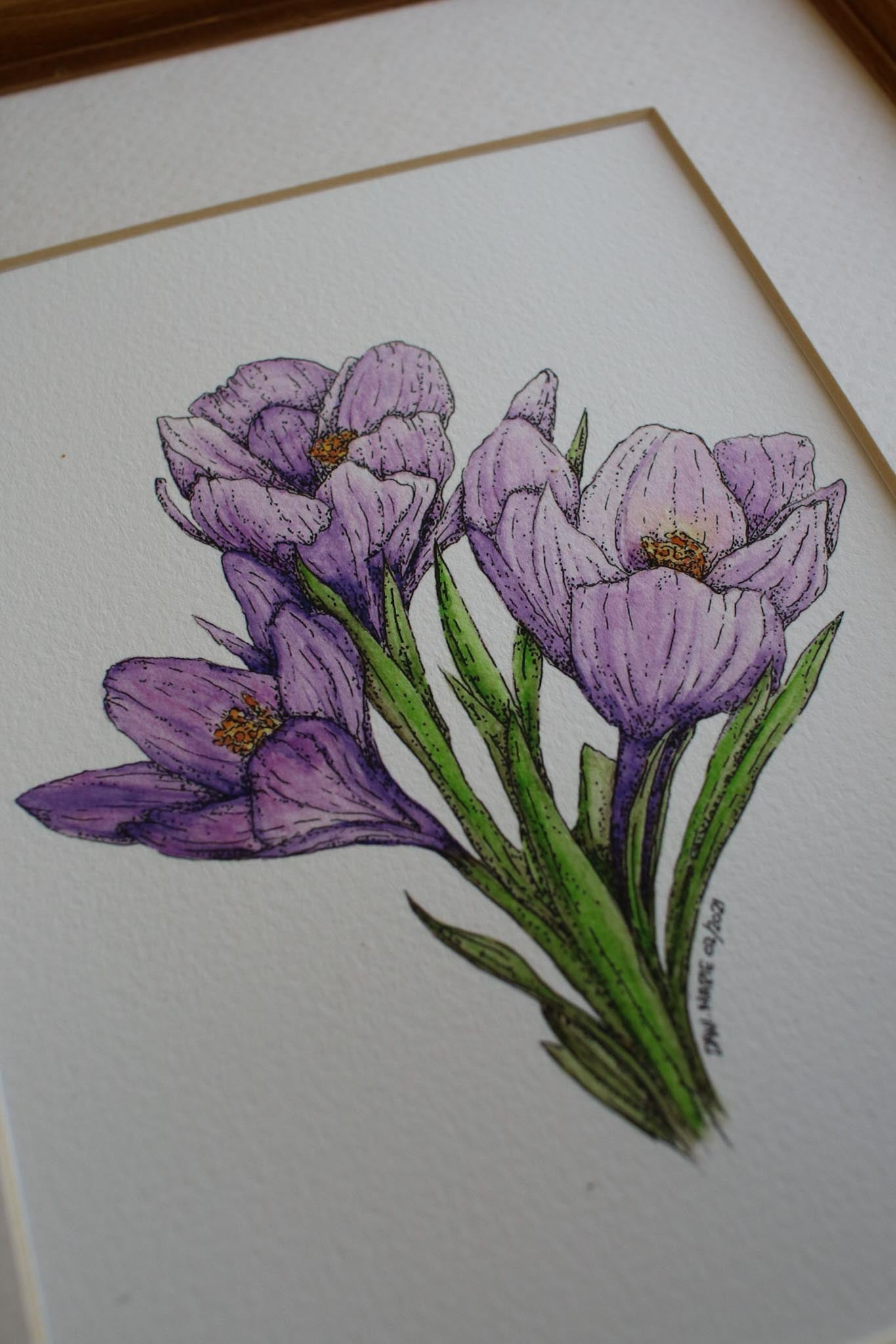 Springtime Crocus