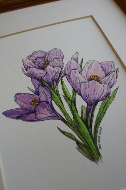 Springtime Crocus