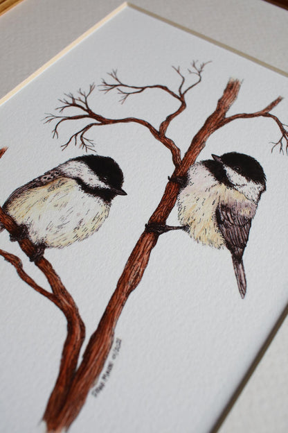 Chickadee