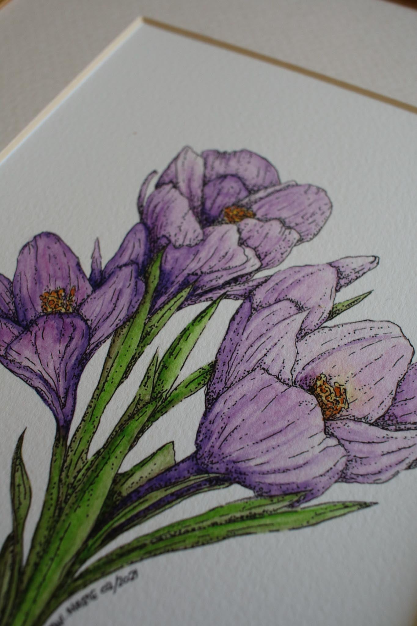 Springtime Crocus