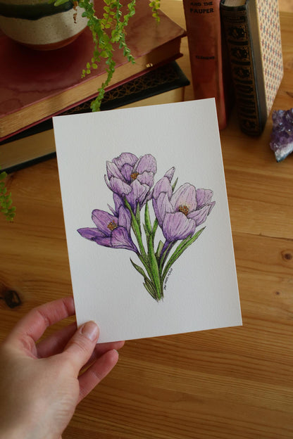 Springtime Crocus