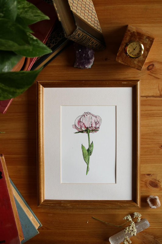 Peony