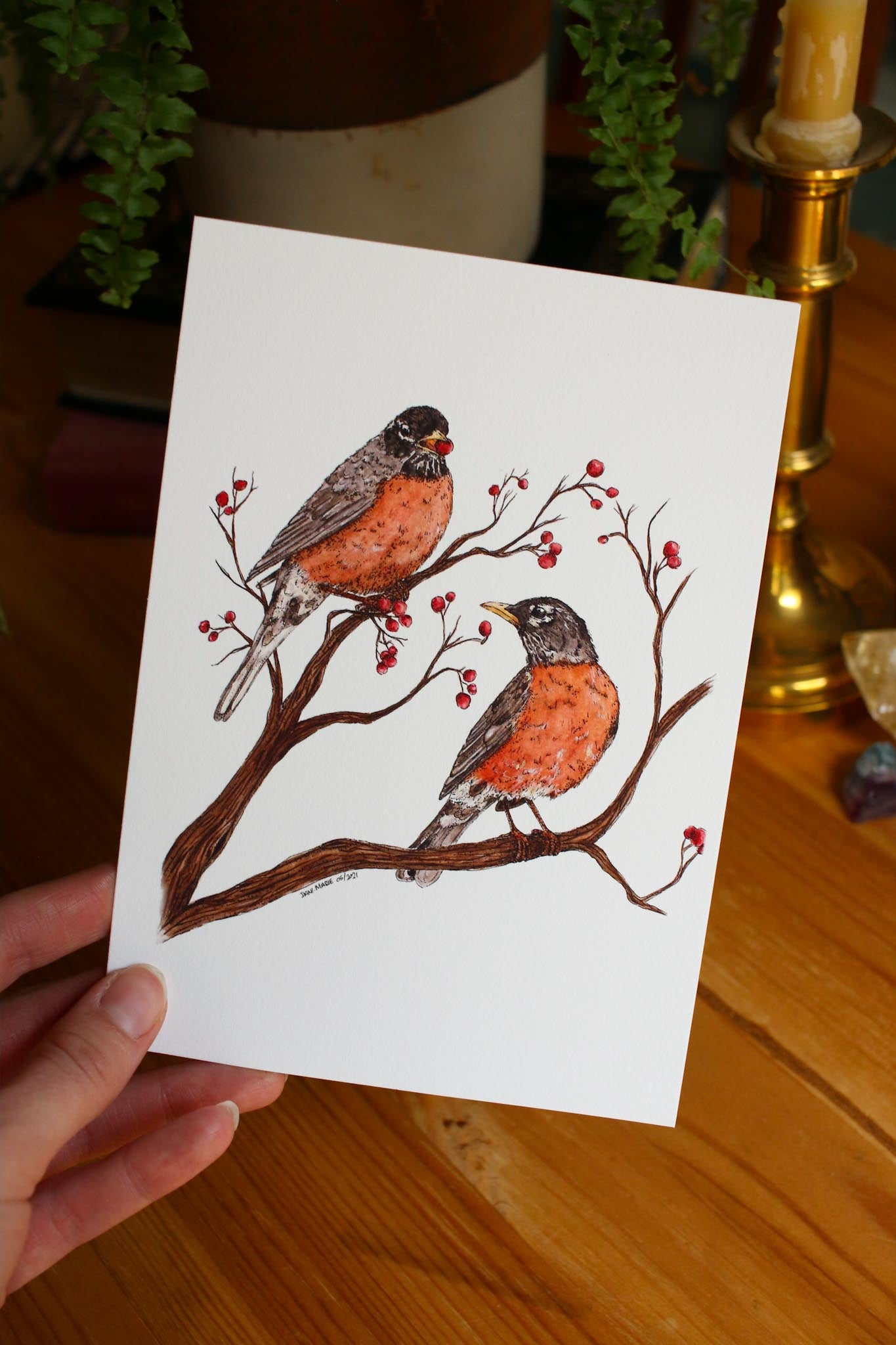 Robins