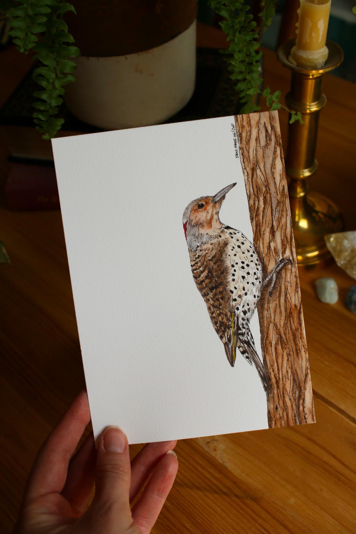 Northern Flicker - Female
