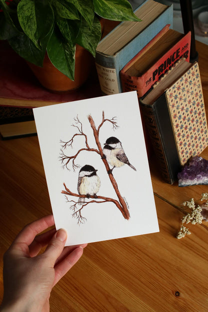 Chickadee