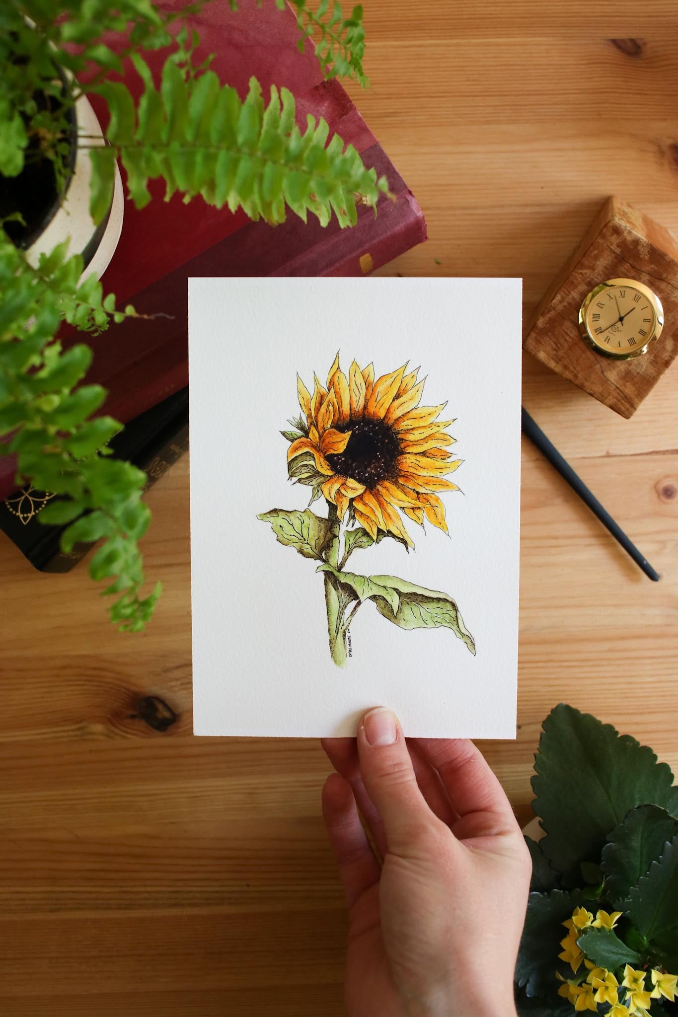 Sunflower