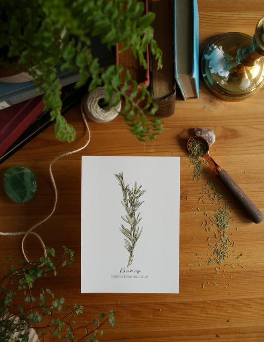 Rosemary
