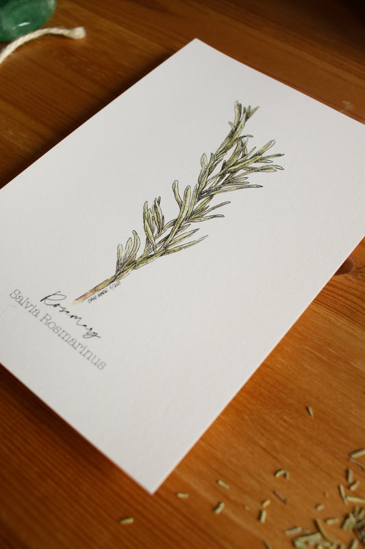 Rosemary