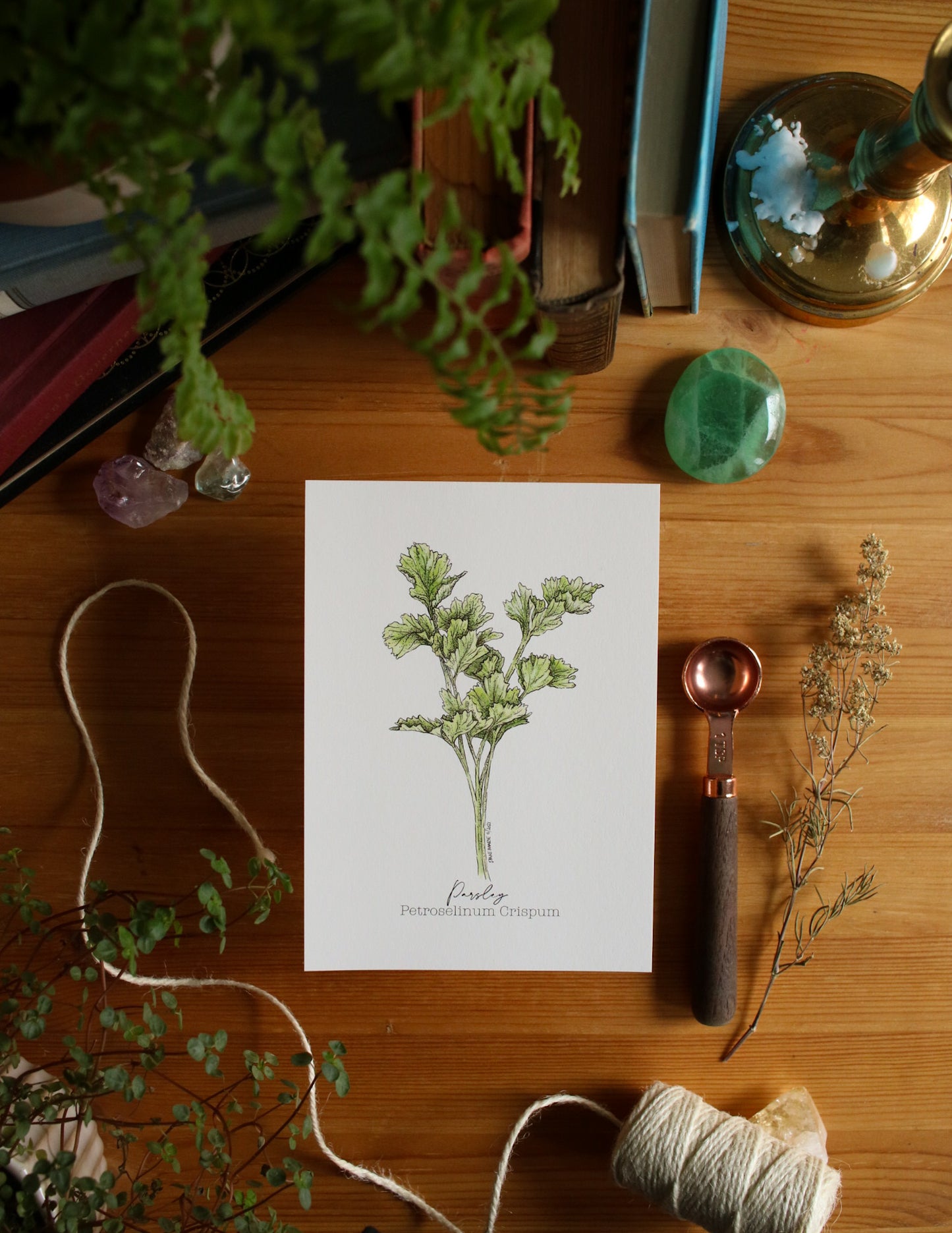 Parsley