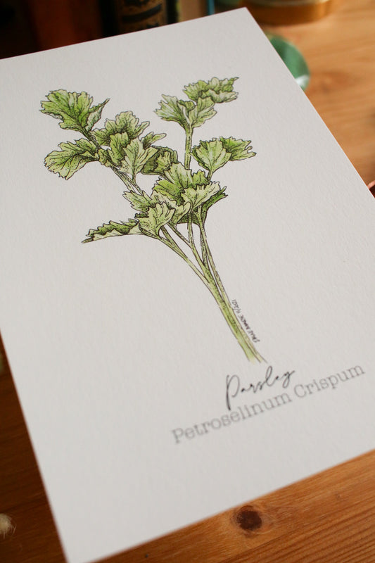 Parsley