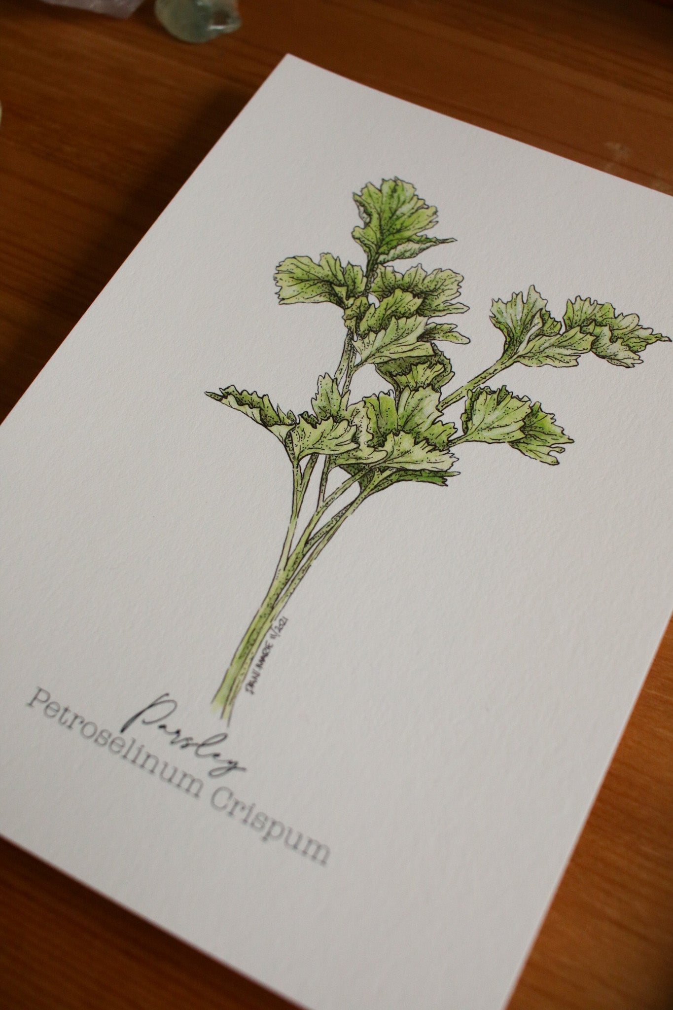 Parsley