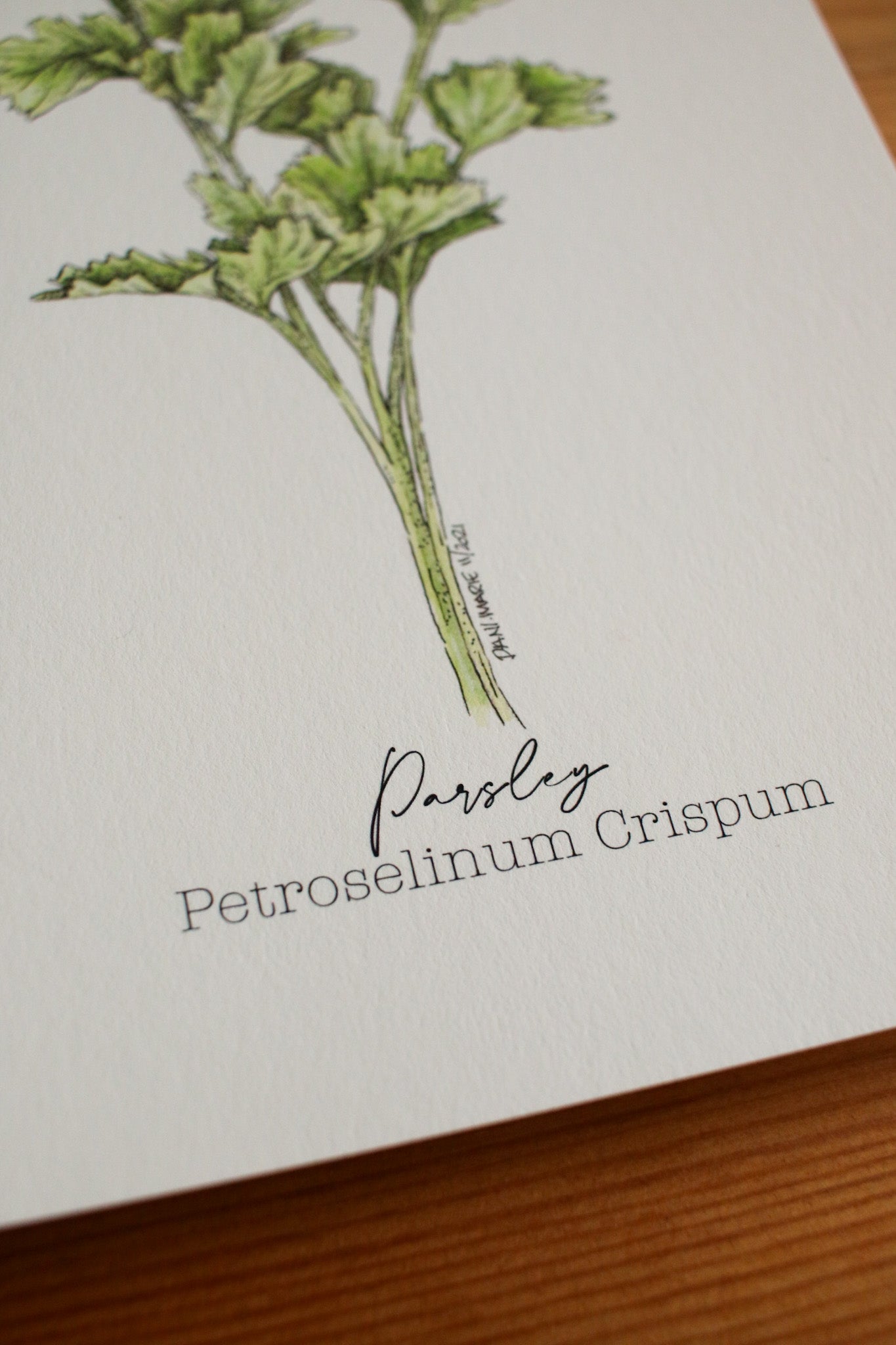 Parsley