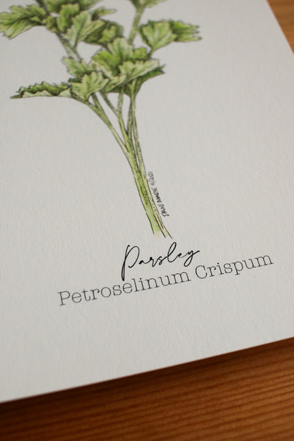 Parsley
