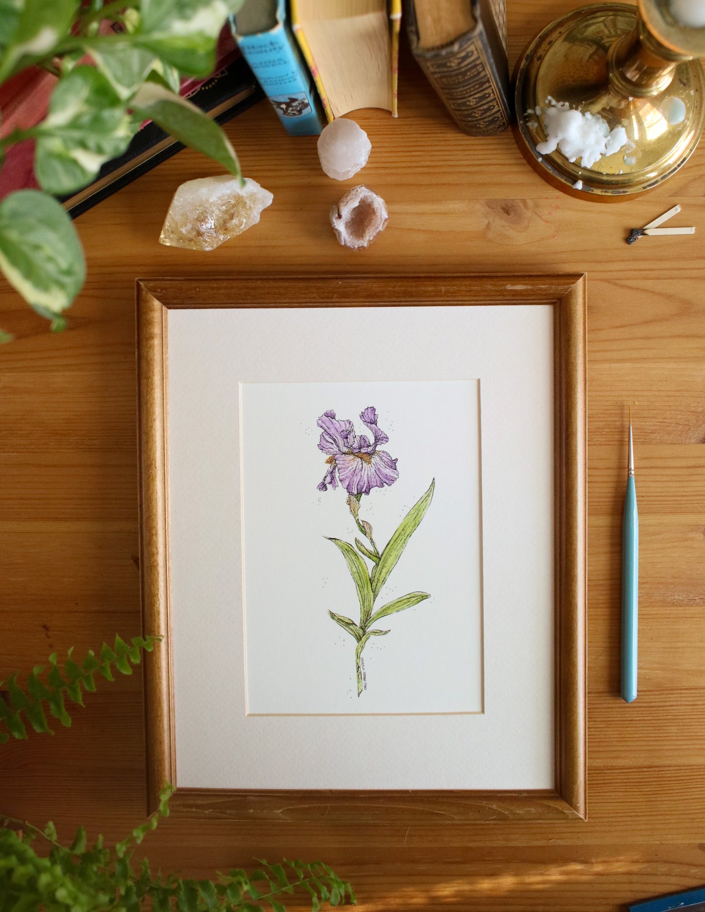 Iris