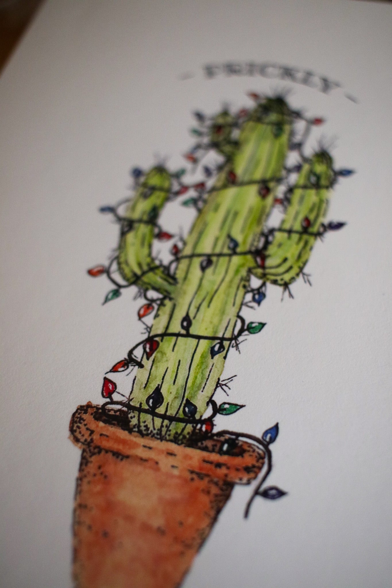 Prickly and Bright Single Cactus 4 - Greeting Card