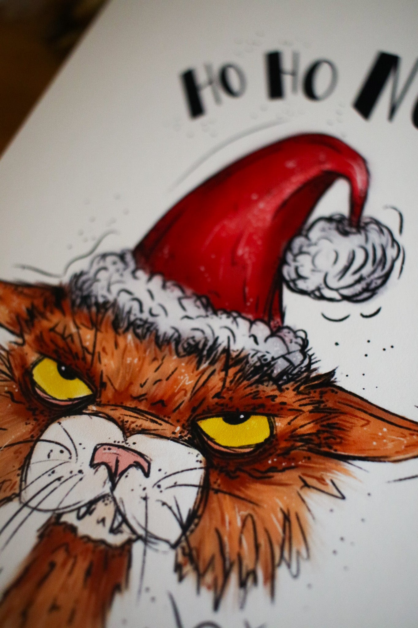 HO HO NO! - Greeting Card