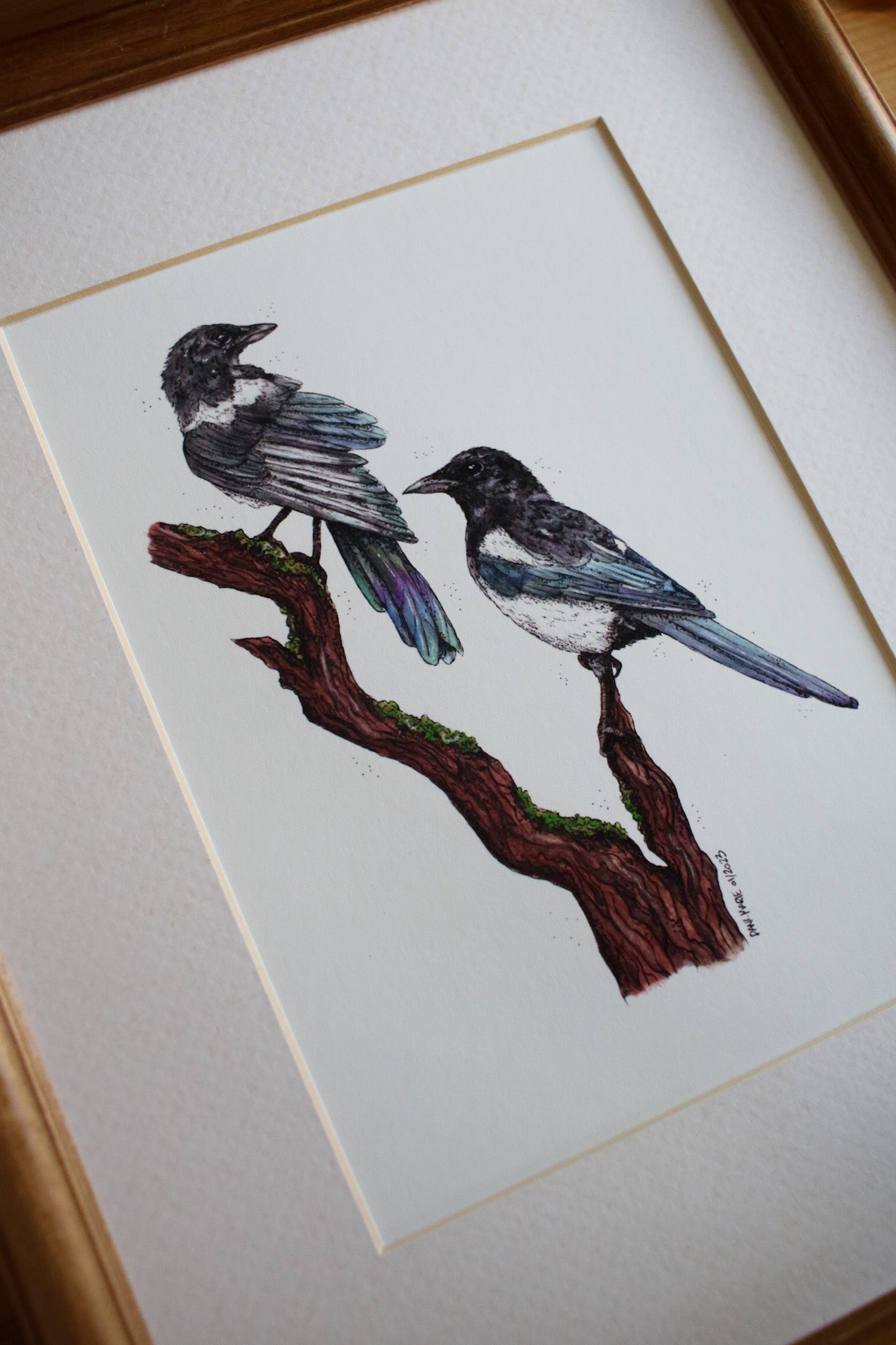 Magpies