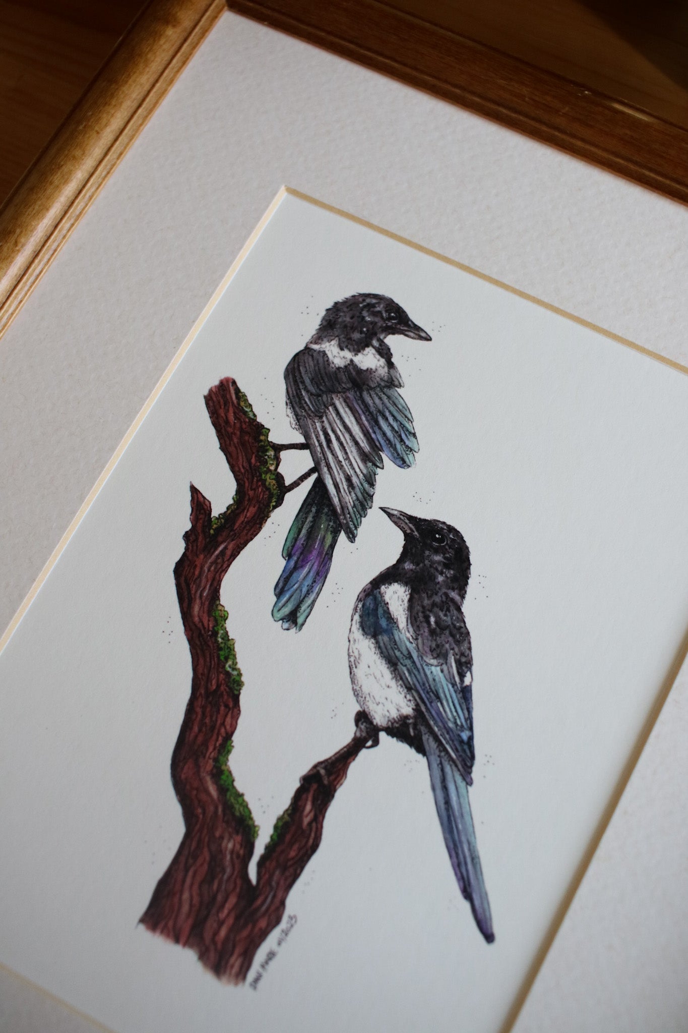 Magpies