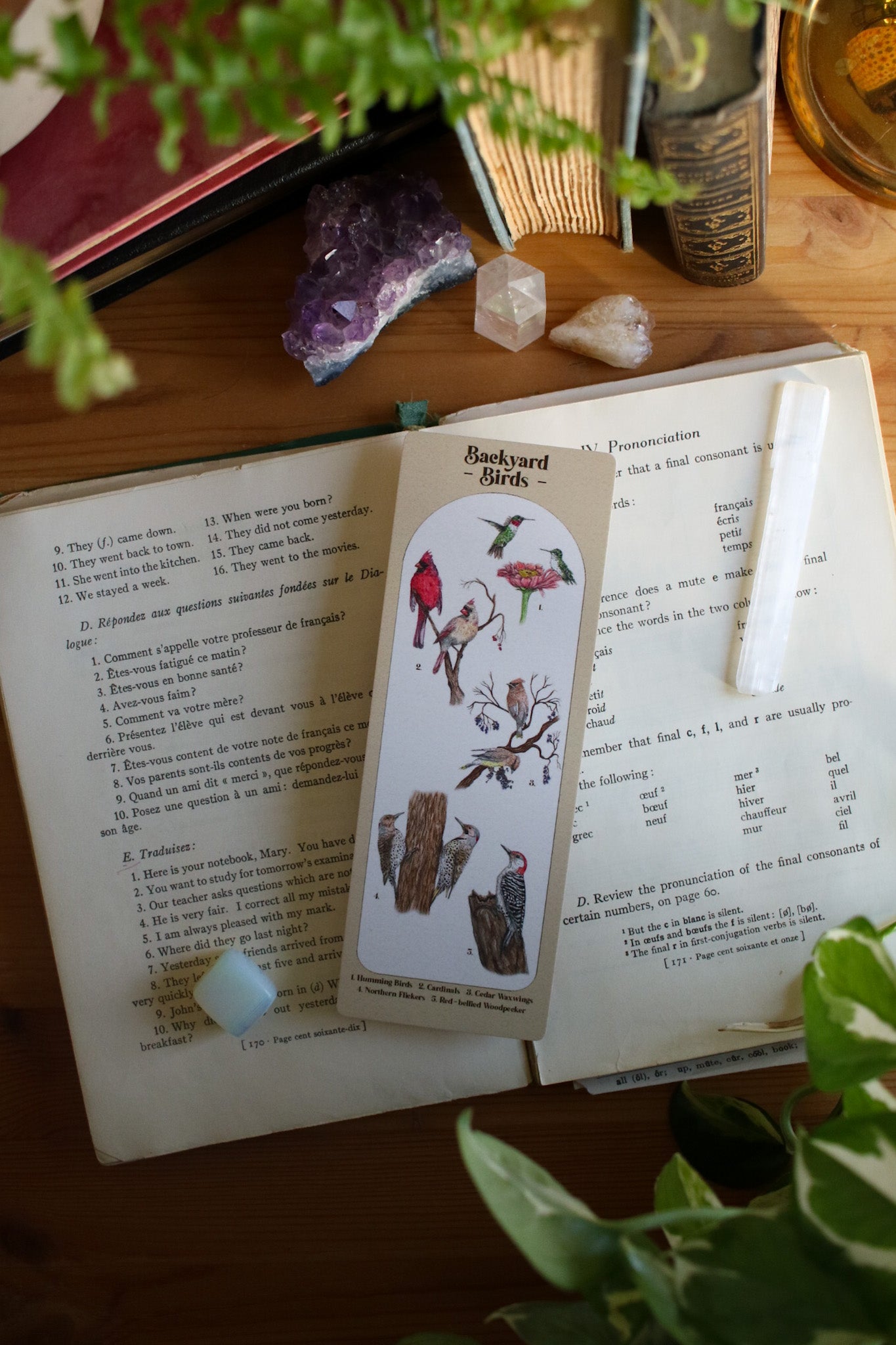 Backyard Bird Bookmark - Double Sided