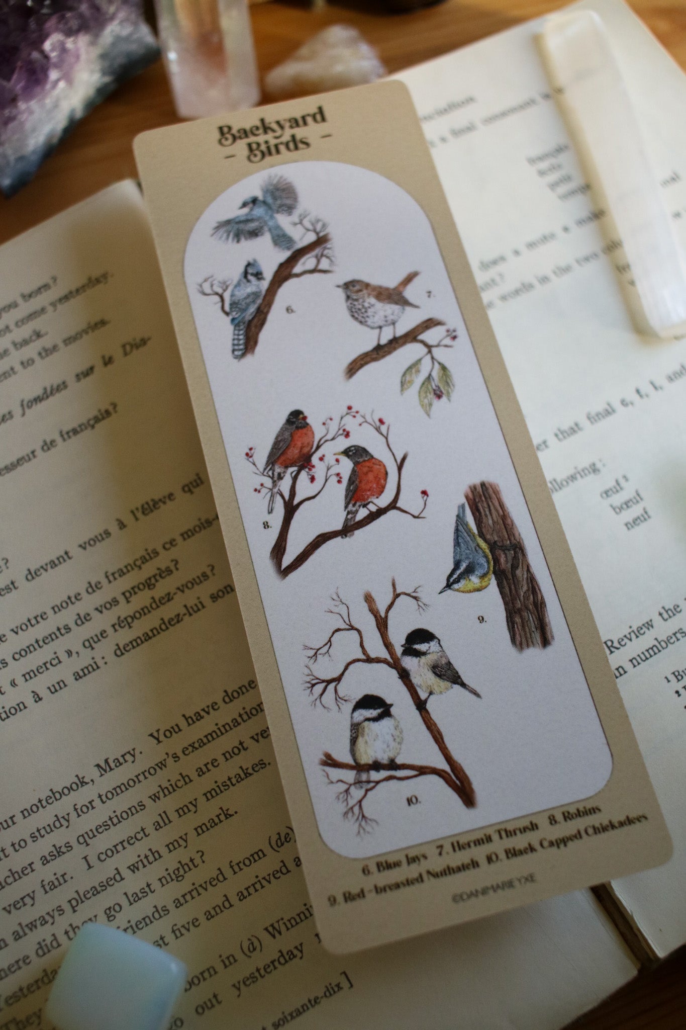 Backyard Bird Bookmark - Double Sided