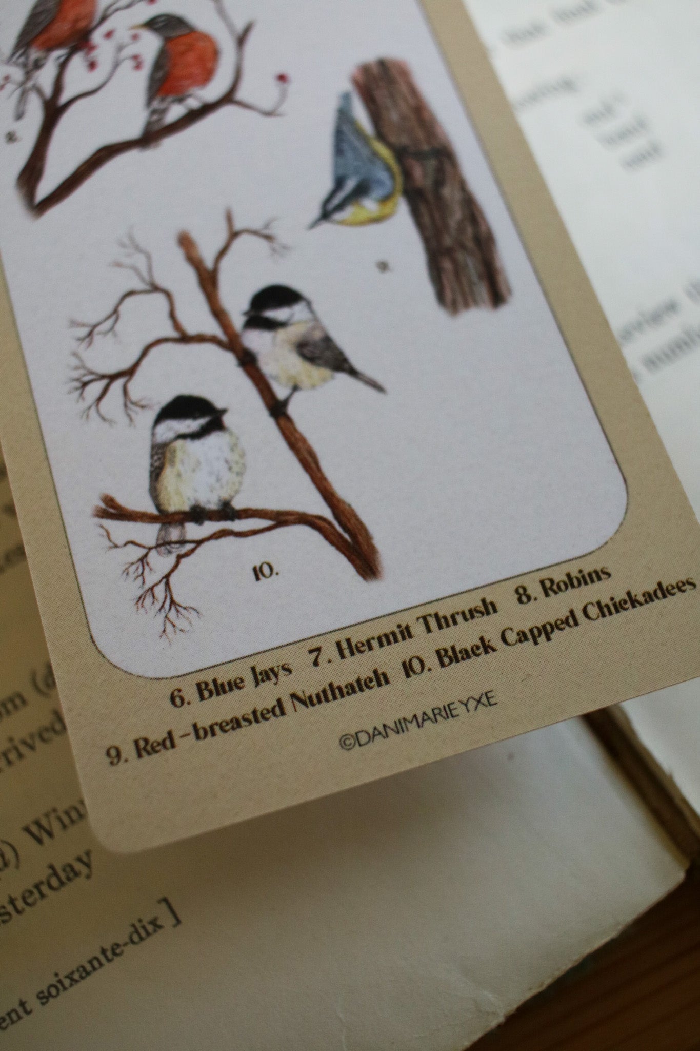 Backyard Bird Bookmark - Double Sided