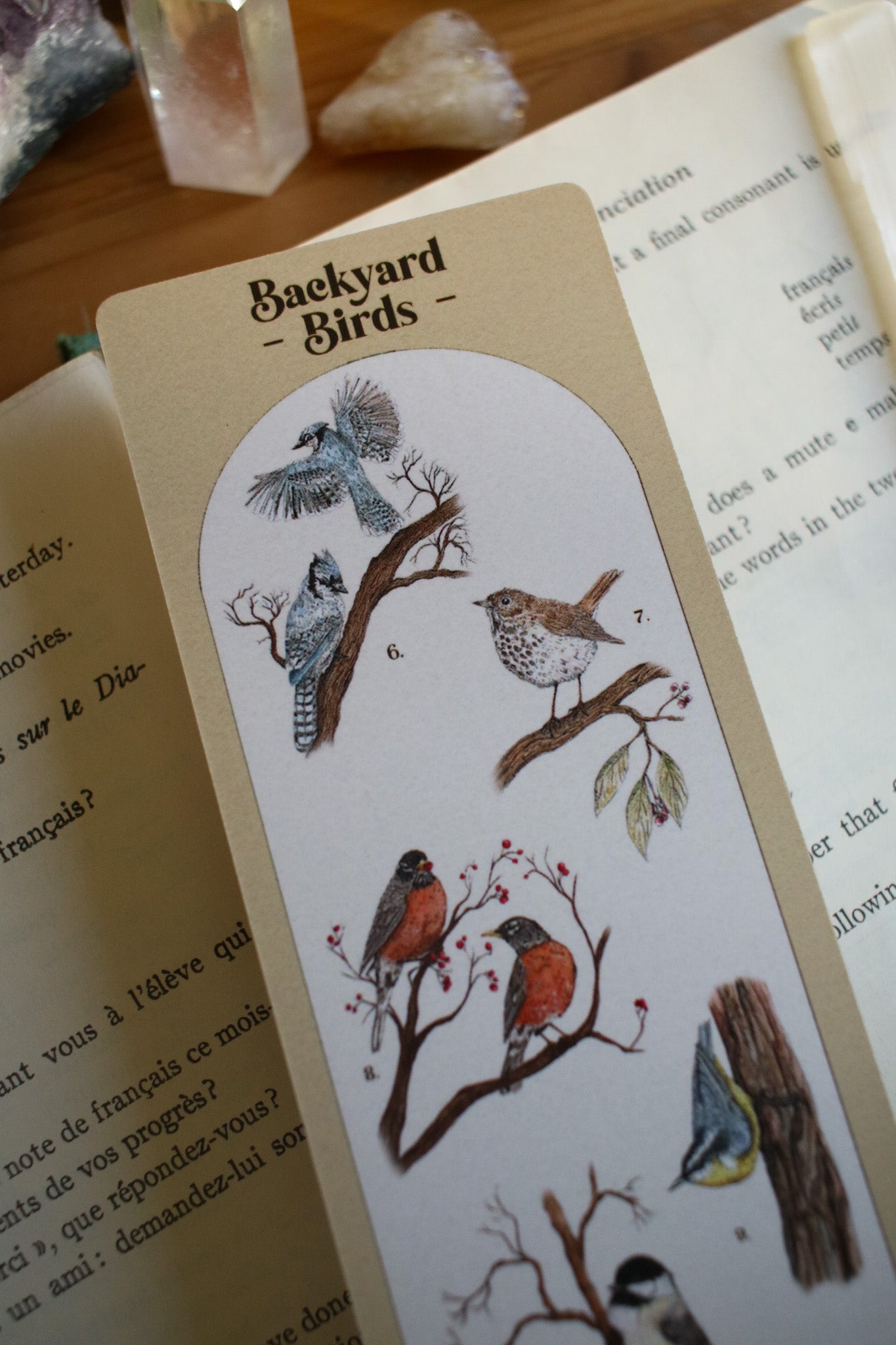 Backyard Bird Bookmark - Double Sided
