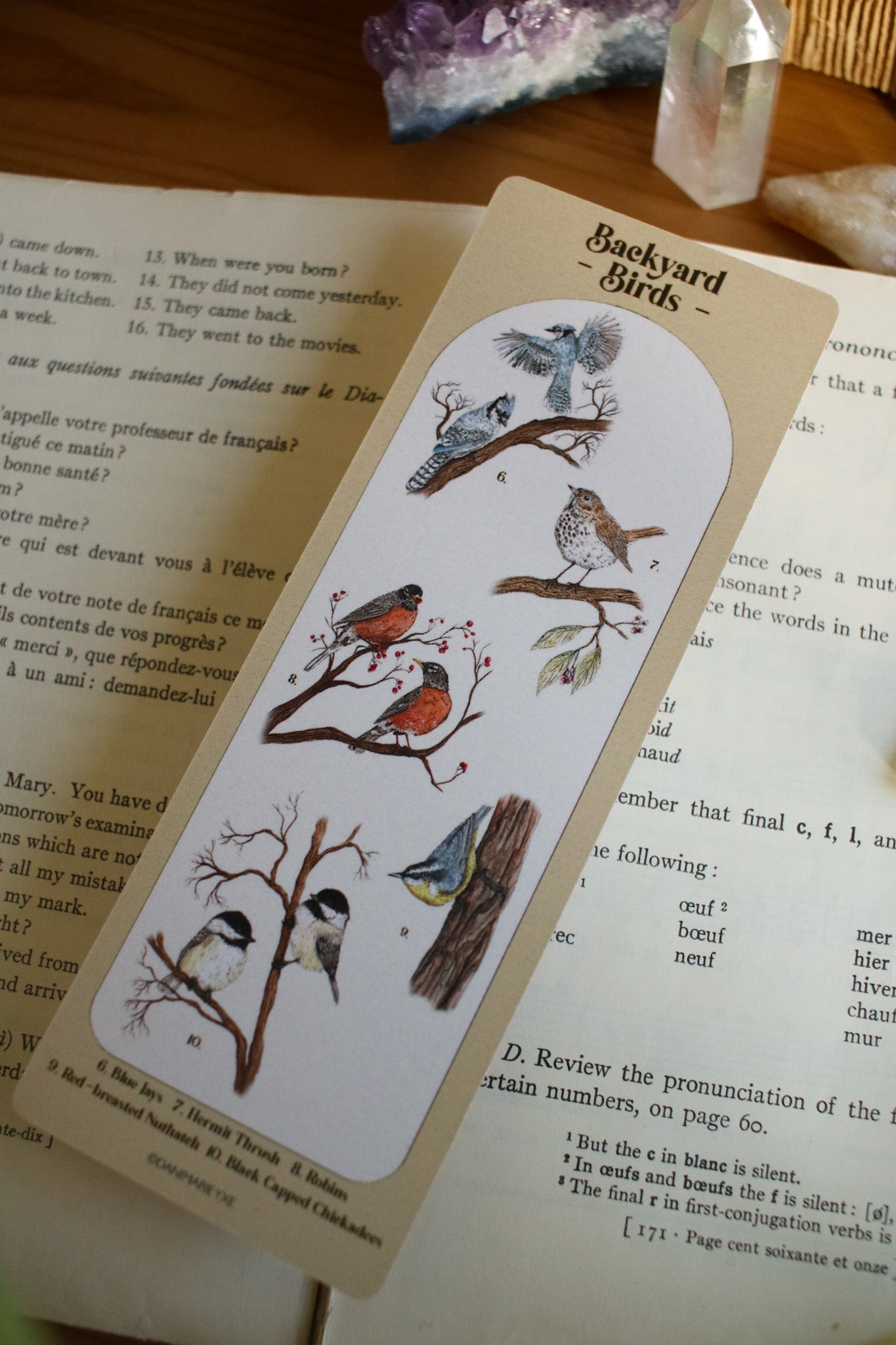 Backyard Bird Bookmark - Double Sided