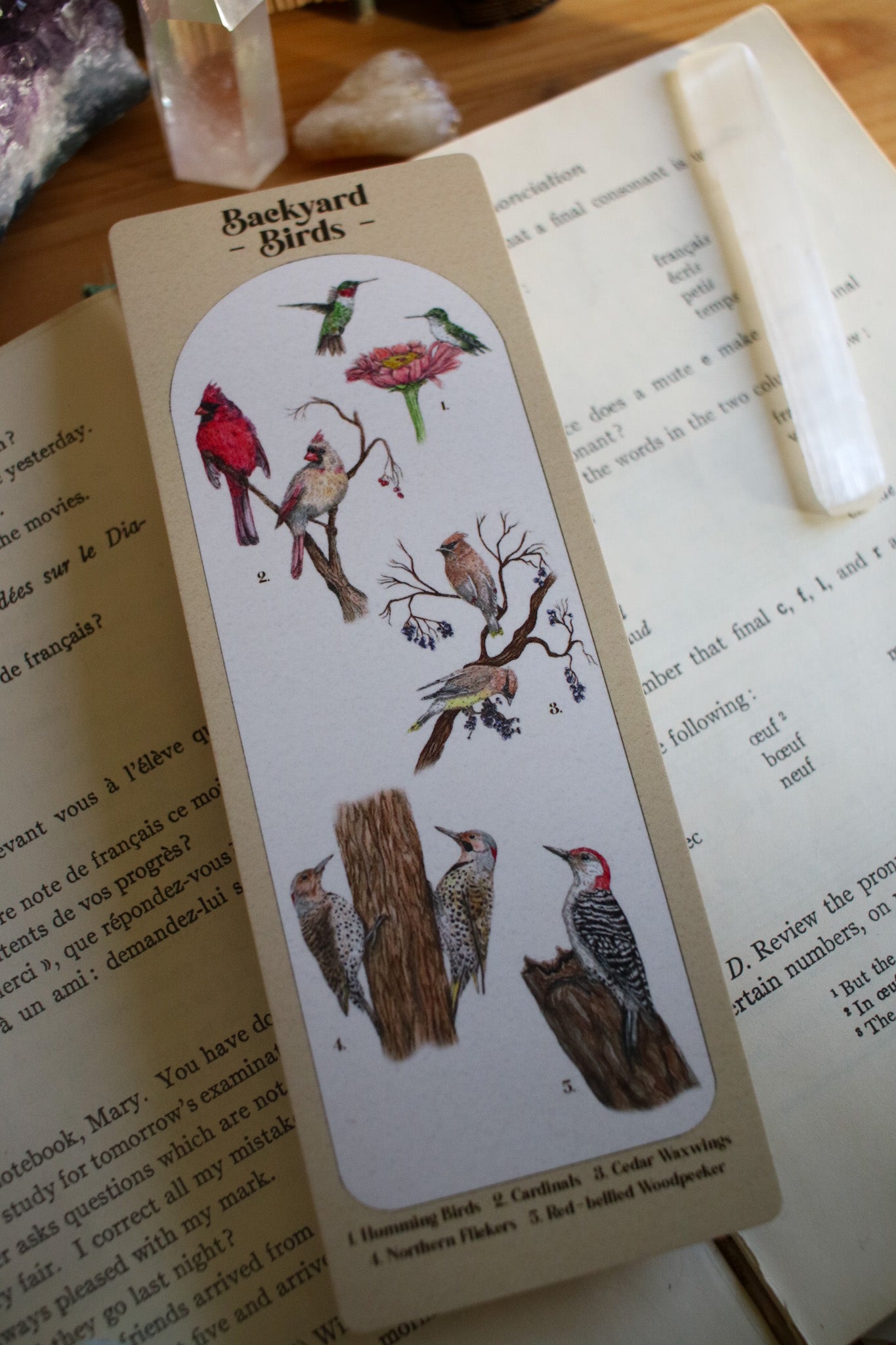 Backyard Bird Bookmark - Double Sided