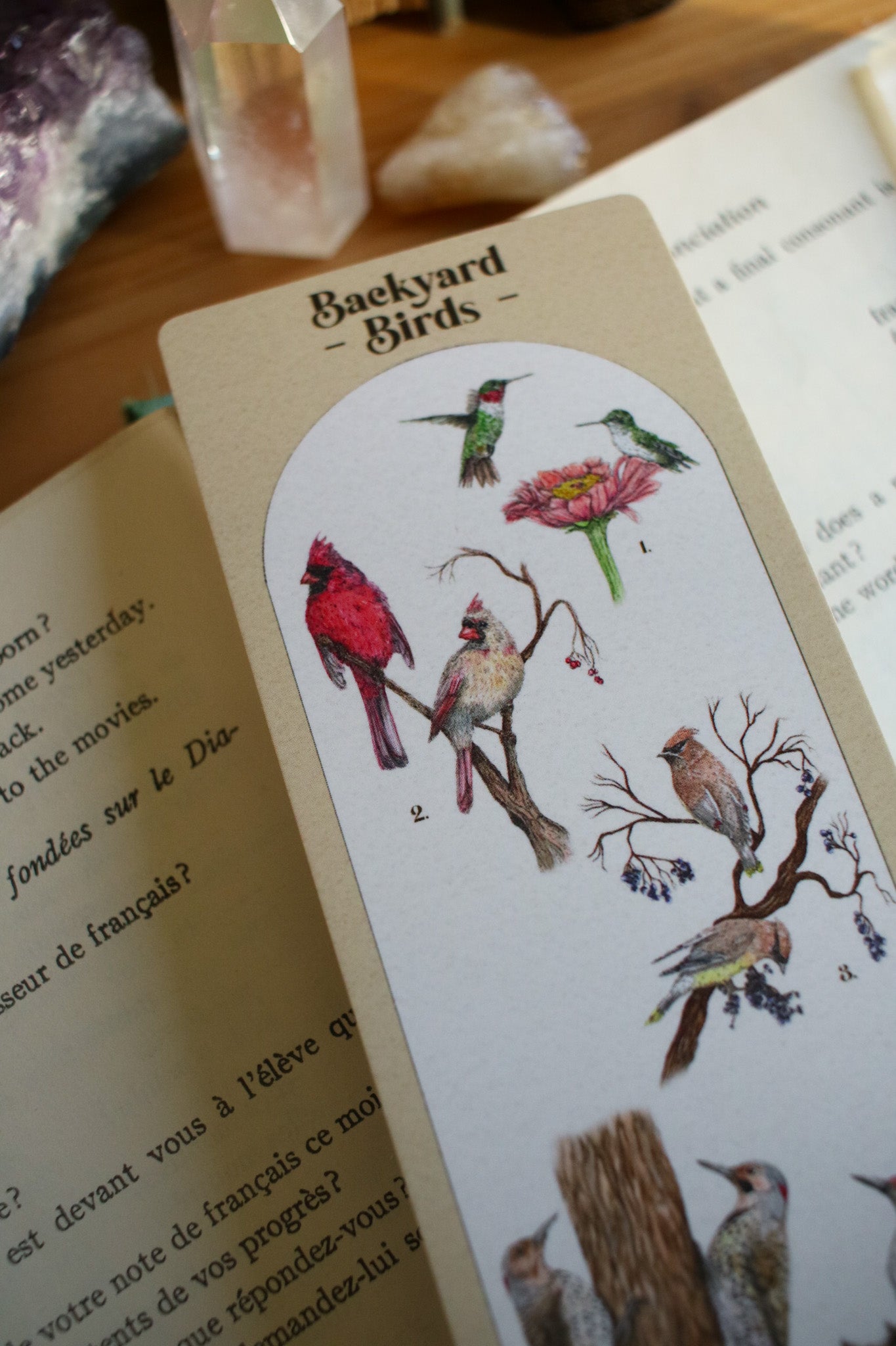 Backyard Bird Bookmark - Double Sided