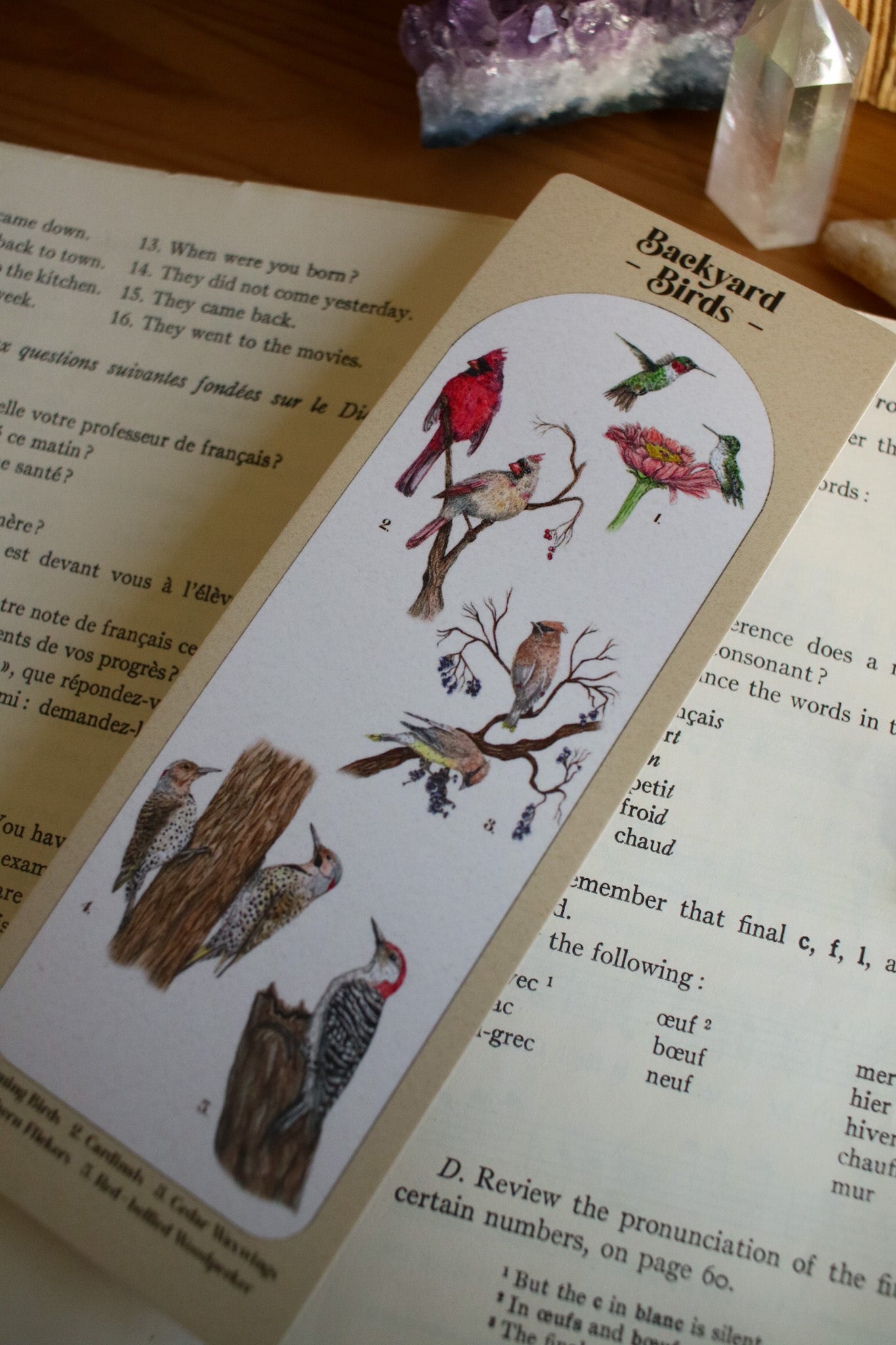 Backyard Bird Bookmark - Double Sided