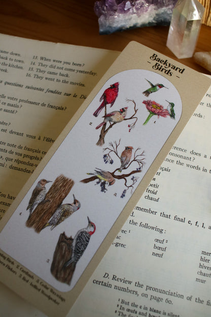 Backyard Bird Bookmark - Double Sided