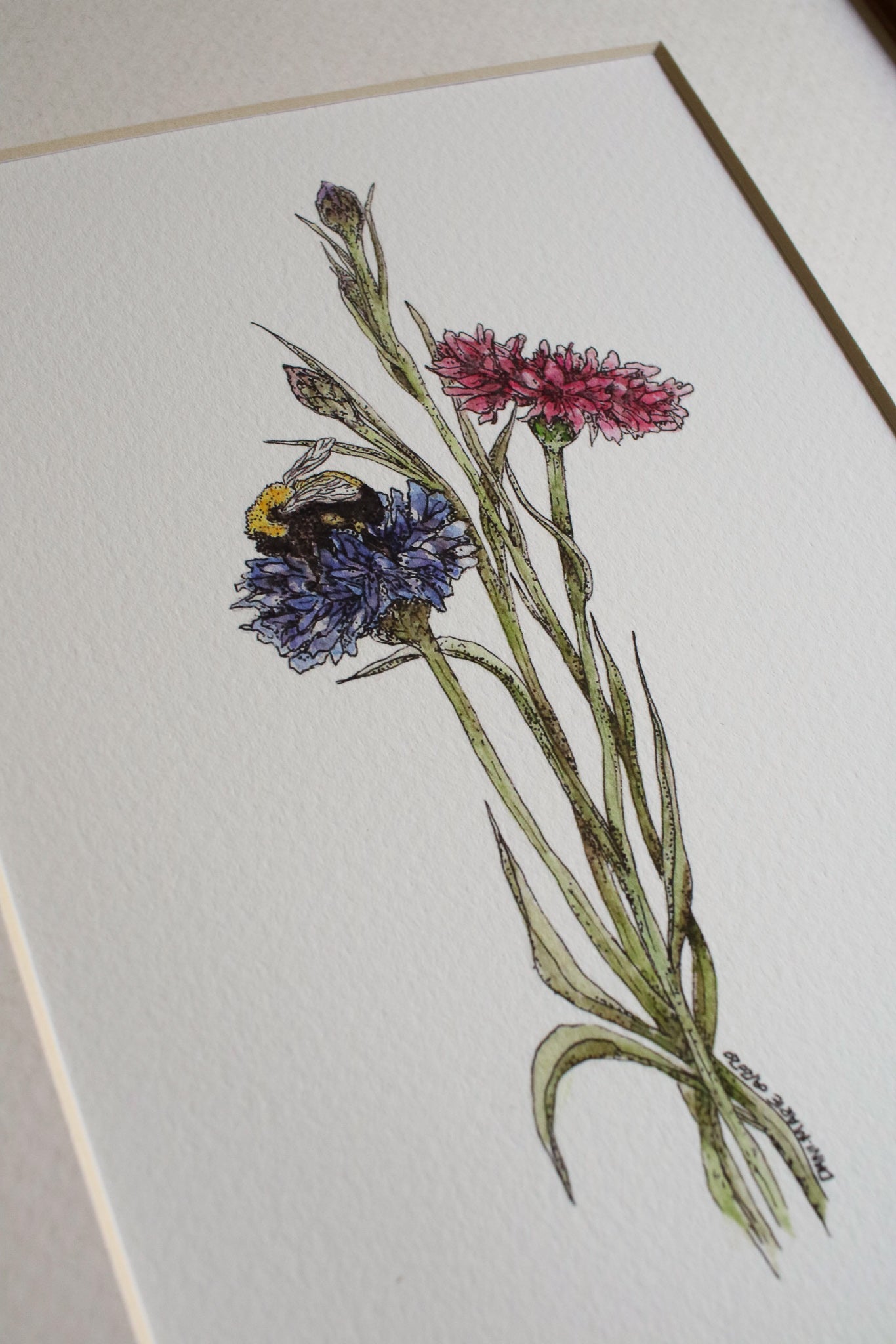 Bachelor Buttons + A Bee