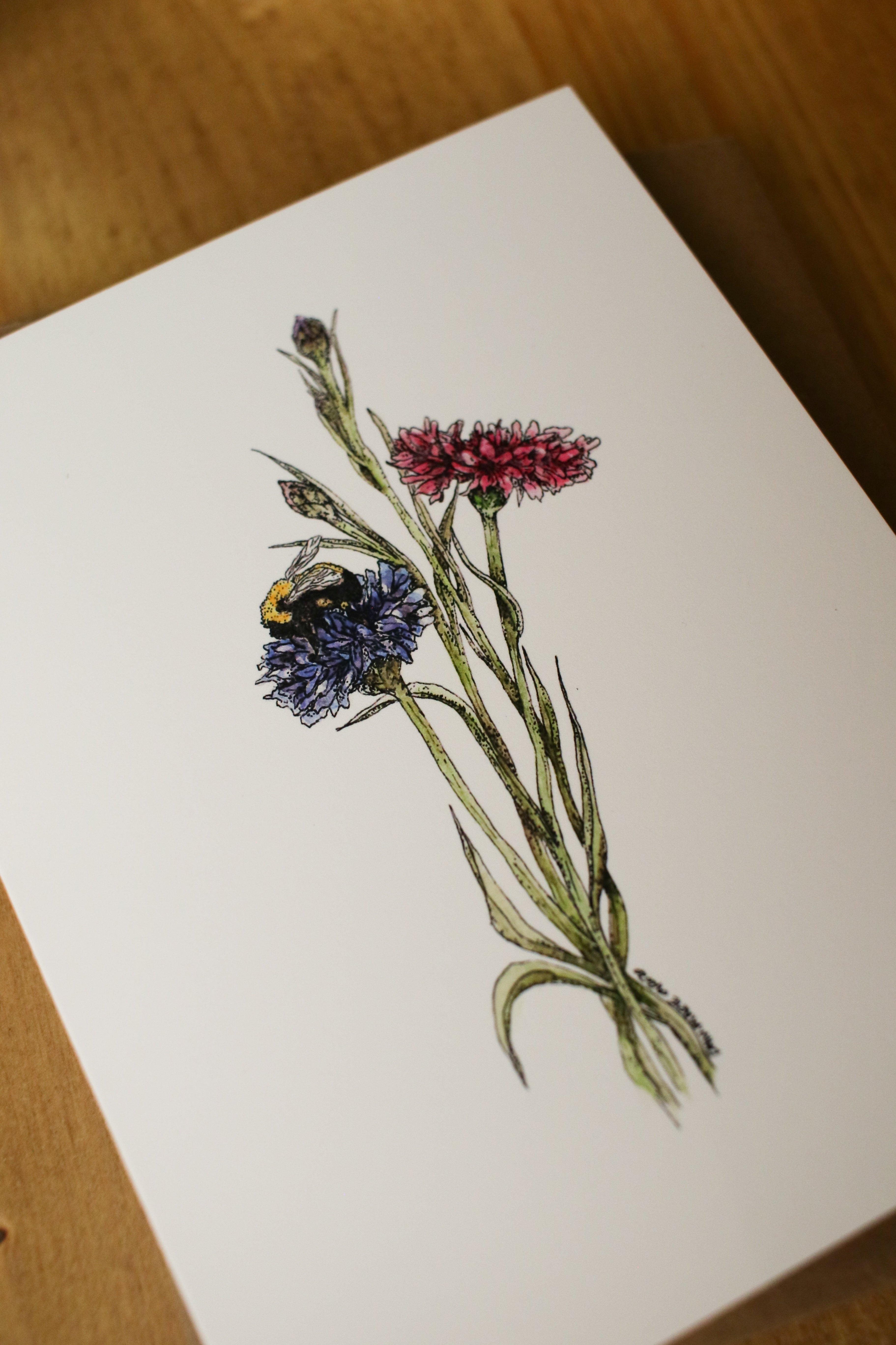 Bachelor Buttons and a Bee - SMALL Greeting Card