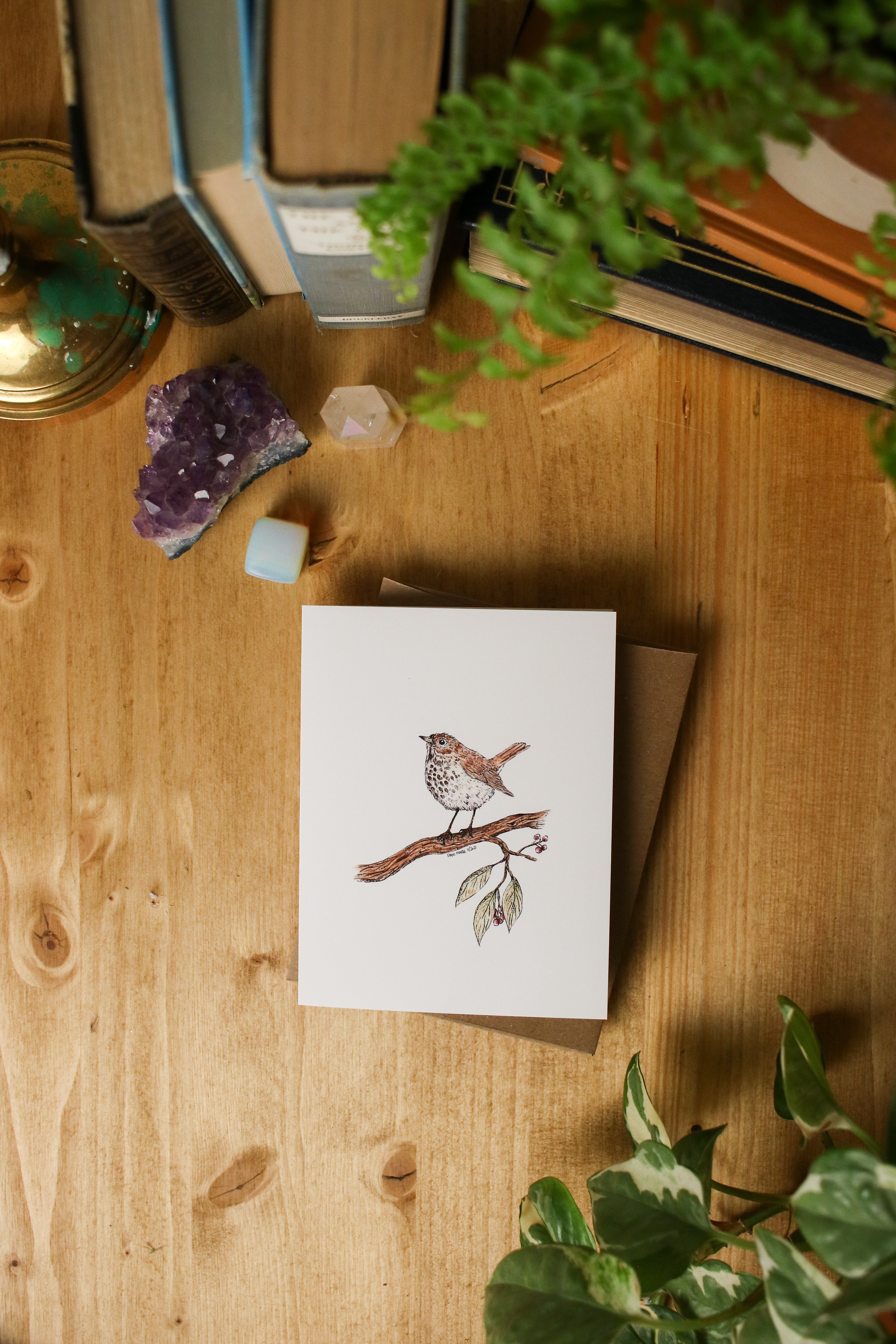 Hermit Thrush - SMALL Greeting Card