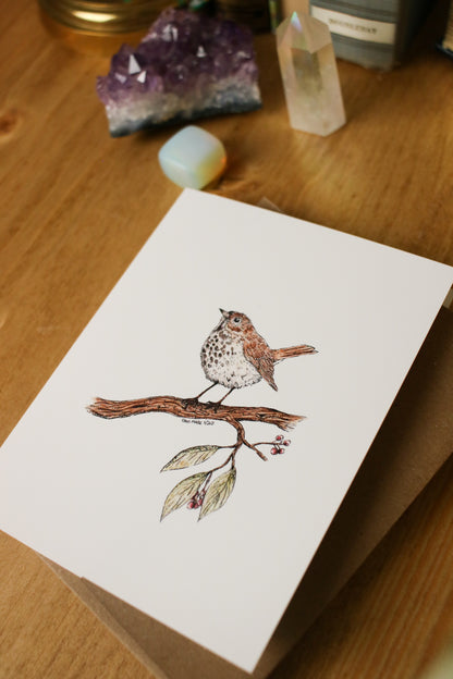 Hermit Thrush - SMALL Greeting Card