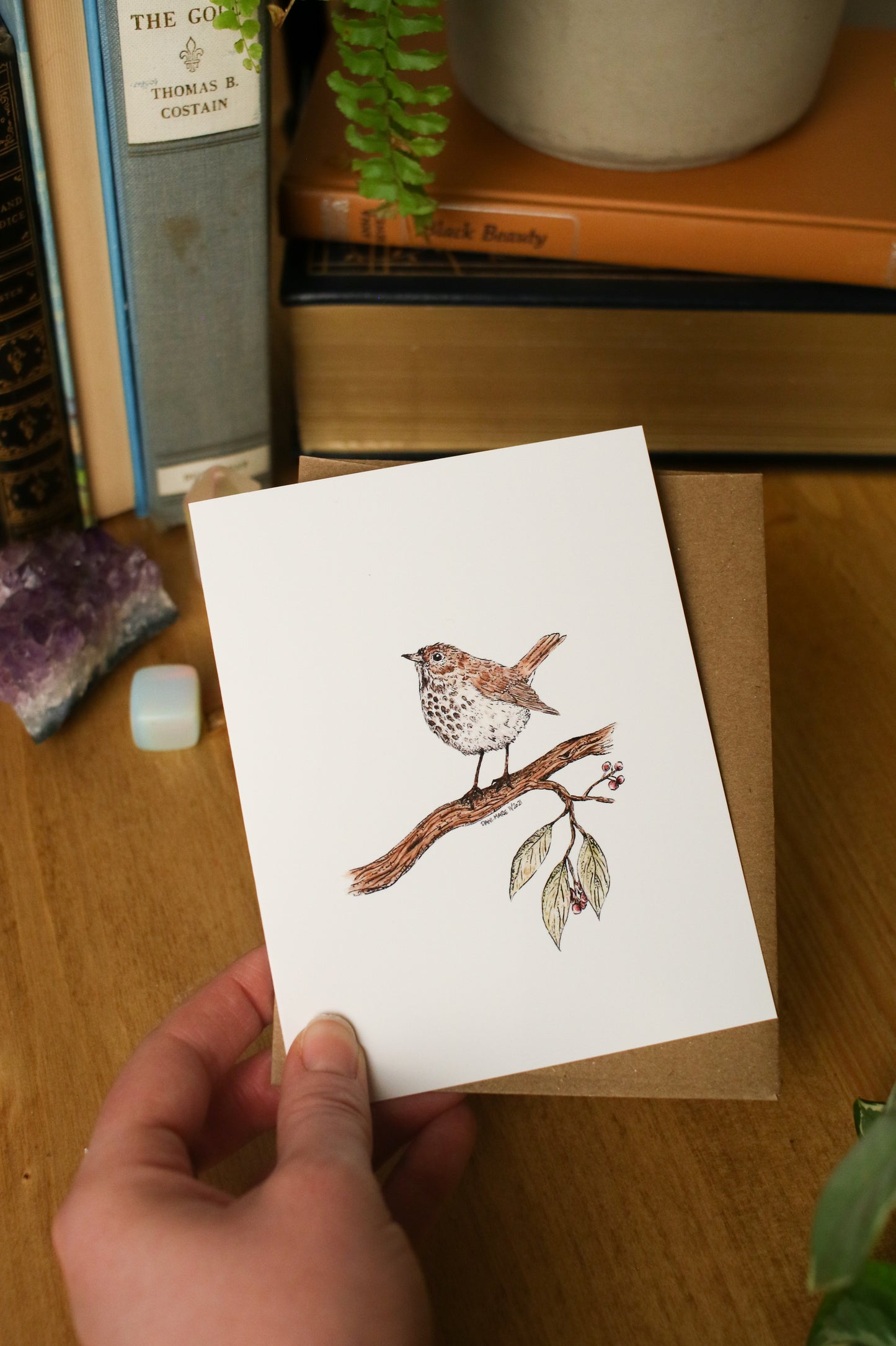 Hermit Thrush - SMALL Greeting Card