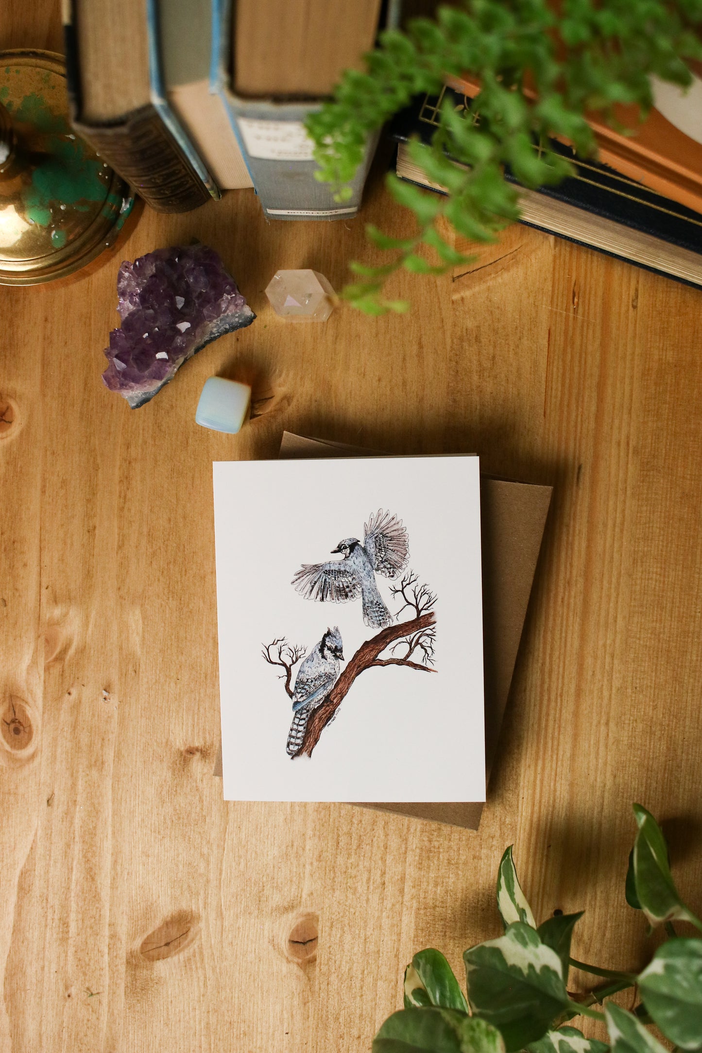 Blue Jays - SMALL Greeting Card