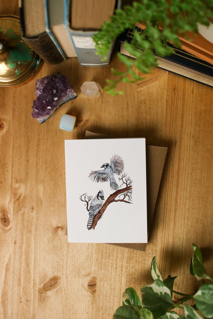 Blue Jays - SMALL Greeting Card